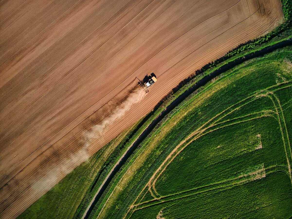 Vista aérea de talhões de lavoura brasileira em diferentes estágios