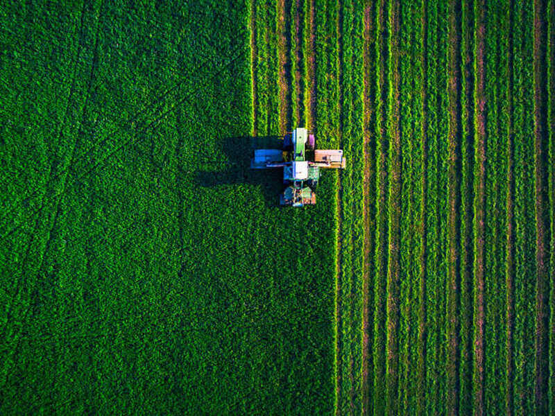 Trator preparando o solo em lavoura brasileira, vista ao nível do campo